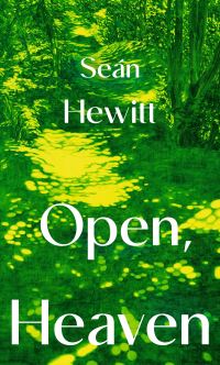 Book Cover for Open, Heaven by Seán Hewitt