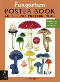 Book Cover for Fungarium Poster Book by Kew Royal Botanic Gardens
