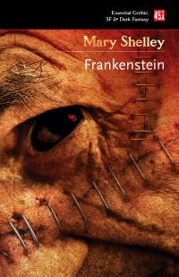 Book Cover for Frankenstein by Gill Tavner, Mary Wollstonecraft Shelley