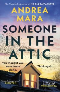 Book Cover for Someone in the Attic by Andrea Mara