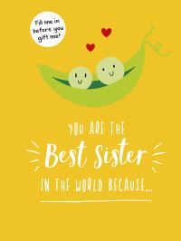 Book Cover for You Are the Best Sister in the World Because... by Summersdale Publishers