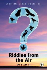 Book Cover for Riddles from the Air by Charlotte SebagMontefiore