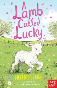 Book Cover for A Lamb Called Lucky by Helen Peters