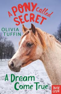Book Cover for A Dream Come True by Olivia Tuffin