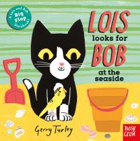 Book Cover for Lois Looks for Bob at the Seaside by Gerry Turley