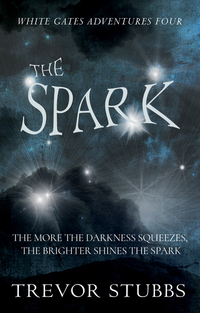 Book Cover for The Spark by Trevor Stubbs