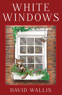 Book Cover for White Windows by David Wallis
