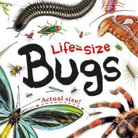 Book Cover for Life-Size Bugs by Helen Catt