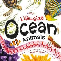 Book Cover for Life-Size Ocean Animals by Helen Catt