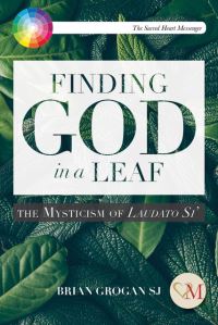 Book Cover for Finding God in a Leaf by Brian Grogan