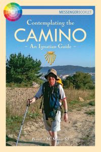 Book Cover for Contemplating the Camino by Brendan McManus