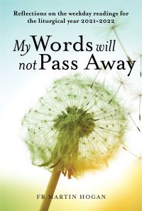 Book Cover for My Words Will Not Pass Away by Martin Hogan