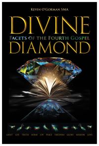 Book Cover for Divine Diamond by Kevin OGorman