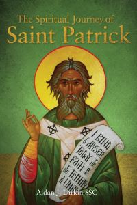 Book Cover for The Spiritual Journey of Saint Patrick by Aidan J Larkin