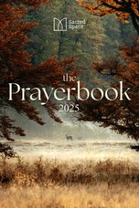Book Cover for Sacred Space by Jesuits