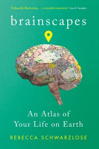 Book Cover for Brainscapes by Rebecca Schwarzlose