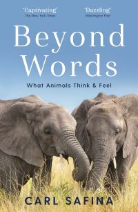 Book Cover for Beyond Words by Carl Safina