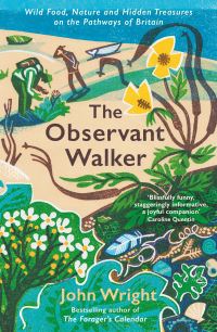 Book Cover for The Observant Walker by John Wright