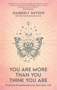 Book Cover for You Are More Than You Think You Are by Kimberly Snyder