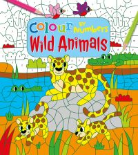 Book Cover for Colour by Numbers by Claire Stamper