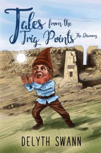 Book Cover for Tales from the Trig Points - The Discovery by Delyth Swann