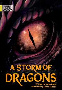 Book Cover for A Storm of Dragons by Sarah Rudd