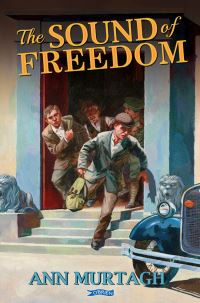 Book Cover for Irish Republican Boy by Ann Murtagh