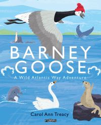 Book Cover for Barney Goose by Carol Ann Treacy