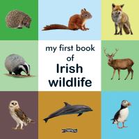 Book Cover for My First Book of Irish Animals by 