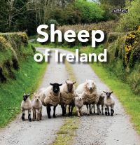 Book Cover for Sheep of Ireland by Sarah OConnor