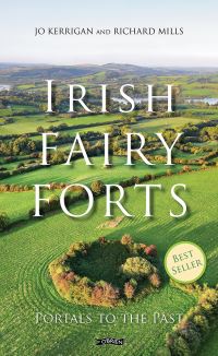 Book Cover for Irish Fairy Forts by Jo Kerrigan