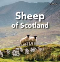 Book Cover for Sheep of Scotland by Sarah OConnor
