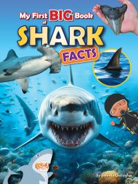Book Cover for My First Big Book of Shark Facts by Belinda Gallagher