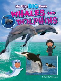 Book Cover for My First Big Book of Whales and Dolphins by Belinda Gallagher