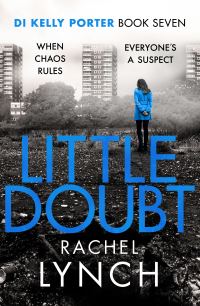 Book Cover for Little Doubt by Rachel Lynch
