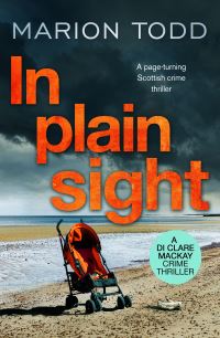 Book Cover for In Plain Sight by Marion Todd
