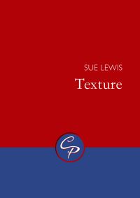 Book Cover for Texture by Sue Lewis