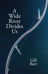 Book Cover for A Wide River Divides Us by Gill Barr