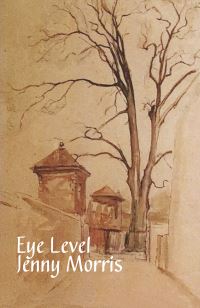 Book Cover for Eye Level by Jenny Morris
