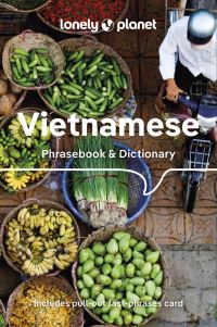 Book Cover for Vietnamese Phrasebook & Dictionary by 