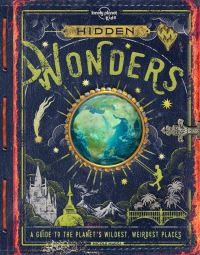 Book Cover for Hidden Wonders by Nicole Maggi
