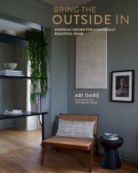 Book Cover for Bring the Outside In by Abi Dare