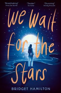 Book Cover for We Wait for the Stars by Bridget Hamilton