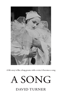 Book Cover for A Song by David Turner