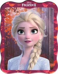 Book Cover for Disney Frozen 2 by Walt Disney