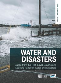 Book Cover for Water and Disasters by Jerome Delli Priscoli, Kenzo Hiroki