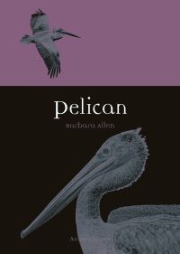 Book Cover for Pelican by Barbara Allen