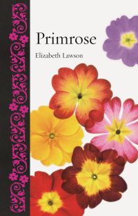 Book Cover for Primrose by Elizabeth Lawson