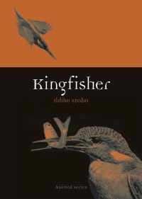 Book Cover for Kingfisher by Ildiko Szabo