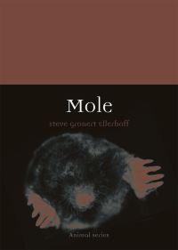Book Cover for Mole by Steve Gronert Ellerhoff